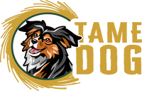 Tame Dog